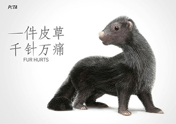 分享：廣告教父大衛(wèi)奧格威廣告創(chuàng)意的獨(dú)特哲學(xué)