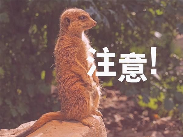 未命名 1024×768px (4)_副本.jpg