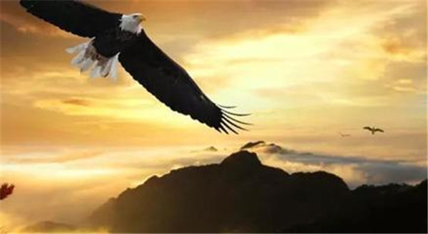 結(jié)合事件進(jìn)行軟文推廣，成敗取決于誰？